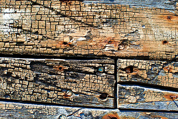 포토 JPG 해외이미지 사람없음 가로 수확 해외202004 해외포토 농업 파일형식 이미지허브