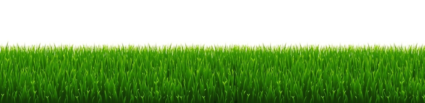 EPS 해외이미지 클립아트 모양 식물 디자인 계절 꽃 백그라운드 잎 꽃무늬 밭 일러스트 부활절 프레임 잔디 가로 초록색 여름 세트 정원 봄 흰색 신용카드 말벌 땅 수집 허브 오브젝트 그림 에코 유기농 조경 내추럴 고립 생태학 엘리먼트 해외202004 해외일러스트 웰빙 교육 기념일 컬러 무늬 농업 금융 환경 벌 파일형식 벡터 산업 곤충 이벤트 경제 동물 이미지허브