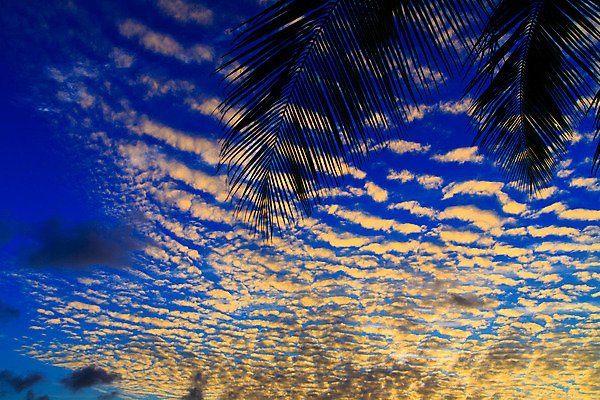 포토 JPG 해외이미지 나무 구름 실루엣 모래 파도 바다 섬 여행 잎 오렌지 자연 하늘 휴가 열대 따뜻함 손바닥 그림자 사람없음 빨간색 초록색 물 여름 파란색 태양 일출 맑음 일몰 꿈 야간 암초 코코넛 몰디브 아열대 해외202004 해외포토 자연요소 식물 손 계절 아시아 컬러 과일 날씨 촬영기법 노을 생태계 파일형식 이미지허브