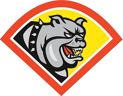 EPS 해외이미지 일러스트 그래픽 반려동물 머리 분노 개 만화 다이아몬드 불독 송곳니 고립 마스티프 해외202004 해외일러스트 동물 감정 포유류 신체부위 치아 보석 파일형식 벡터 이미지허브