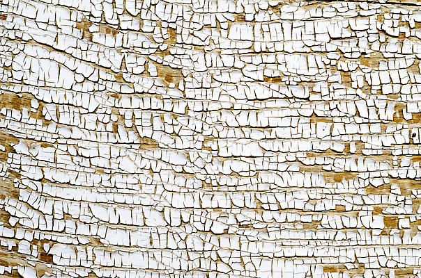 포토 JPG 해외이미지 벽 백그라운드 패턴 벽지 표면 날씨 추상 사람없음 목재 갈색 페인트 흰색 판넬 거친 그리기 균열 묘사 부식 질감 복고 내추럴 썩음 옛날 해외202004 해외포토 나무 컬러 무늬 재료 모션 파일형식 이미지허브