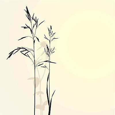 EPS 해외이미지 모양 식물 디자인 실루엣 길 줄기 꽃무늬 밭 일러스트 자연 미술 그래픽 농작물 못 클로버 서식 클립 밀짚 내추럴 고립 엘리먼트 해외202004 해외일러스트 꽃 무늬 농업 문화예술 촬영기법 공구 짚 생태계 파일형식 벡터 이미지허브