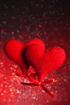 포토 JPG 해외이미지 모양 디자인 커플 기념일 행복 감정 벽 백그라운드 컨셉 2 꽃무늬 패턴 창문 결혼식 추상 휴가 프레임 발렌타인데이 매달리기 선물 사랑 미술 사람없음 목재 장식 빨간색 빛 우주 축제 수확 마음 축하 인사 신용카드 고급 심볼 오브젝트 보케 2월 벨벳 해외202004 해외포토 나무 꽃 컬러 결혼 무늬 농업 재료 관계 모션 데이이벤트 문화예술 이벤트 금융 예절 날짜 실크 파일형식 이미지허브