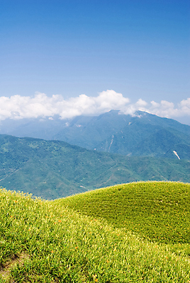 포토 JPG 해외이미지 식물 구름 꽃 꽃무늬 밭 농업 오렌지 자연 하늘 산 풍경 사람없음 야외 초록색 파란색 컬러풀 햇빛 농장 농경지 노란색 환경 침묵 목장 활발 벚꽃 시골 신선 호랑이 백합 땅 대만 언덕 장면 내추럴 밭일 수평선 해외202004 해외포토 자연요소 산업 아시아 컬러 컨셉 무늬 과일 포유류 태양 소리 생태계 파일형식 이미지허브