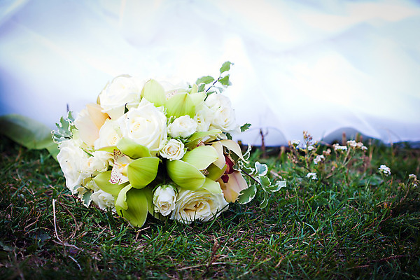 포토 JPG 해외이미지 전통 디자인 꽃잎 꽃 분홍색 꽃다발 결혼 백그라운드 꽃무늬 결혼식 휴가 사랑 사람없음 장식 장미 벚꽃 흰색 축하 우아함 다발 배열 약혼 고립 해외202004 해외포토 식물 감정 컬러 컨셉 무늬 이벤트 약속 파일형식 이미지허브