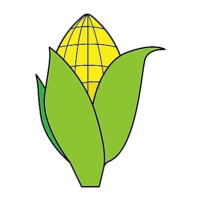 EPS 해외이미지 식물 음식 농업 일러스트 옥수수 씨앗 수확 플랫 만화 유기농 심플 거름 밭일 해외202004 해외일러스트 웰빙 산업 곡류 파일형식 벡터 이미지허브