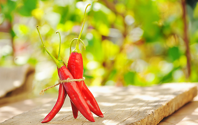 포토 JPG 해외이미지 접시 음식 줄기 다이어트 채소 재료 고추 불 파프리카 건강 요리 사람없음 빨간색 초록색 가을 신선 뜨거움 양념 그룹 달콤 맛 자르기 먹기 향신료 오브젝트 싱글 상쾌 유기농 후추 연소 고립 살사댄스 할라피뇨 카피스페이스 해외202004 해외포토 자연요소 식물 식기 웰빙 계절 감정 컬러 컨셉 모션 공백 춤 향미료 파일형식 이미지허브