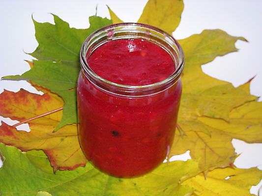 포토 JPG 해외이미지 열매 잎 사람없음 식사 가을 잼 해외202004 해외포토 식물 계절 소스_음식 파일형식 이미지허브