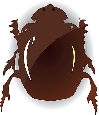 EPS 해외이미지 동물 실루엣 야생동물 곤충 백그라운드 잎 절지류 일러스트 자연 안테나 미술 그래픽 검은색 흰색 그룹 해충 벌레 숲 딱정벌레 흔적 그림 거미 고립 동물상 생태학 조작 테마 해외202004 해외일러스트 식물 교육 컬러 통신 문화예술 촬영기법 조형물 생태계 파일형식 벡터 이미지허브