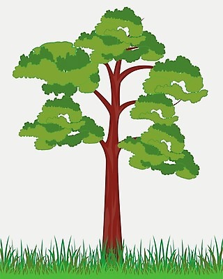 EPS 해외이미지 나무 식물 잎 일러스트 목재 초록색 나뭇가지 큼 연도 허브 흰배경 해외202004 해외일러스트 컬러 백그라운드 재료 흰색 크기 파일형식 벡터 이미지허브