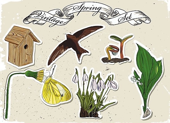 EPS 해외이미지 템플릿 배너 계절 꽃 포스터 리본 나비 곤충 백그라운드 일러스트 캘리그라피 자연 조류 여름 세트 새싹 봄 수확 시간 낙서 이슬 에코 복고 새장 제비 고립 엘리먼트 헌병 해외202004 해외일러스트 식물 동물 농업 환경 군인 생태계 케이지 파일형식 벡터 이미지허브