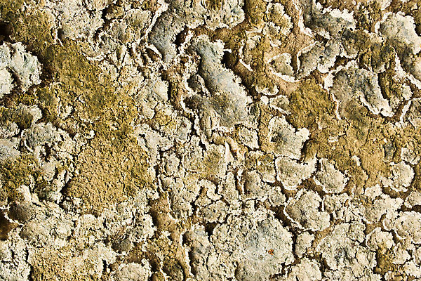 포토 JPG 해외이미지 지구 모래 백그라운드 패턴 자연 표면 건조 사람없음 글로벌 갈색 환경 흙 뜨거움 거친 황무지 균열 브레이크 땅 눈물 묘사 부식 질감 먼지 점토 지역 가뭄 다리찢기 깨짐 땅바닥 생태학 지리 지질학 해외202004 해외포토 교육 감정 컬러 컨셉 무늬 모션 날씨 바닥 생태계 파일형식 이미지허브