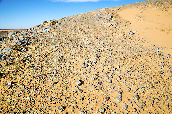 포토 JPG 해외이미지 디자인 모래 바다 과학 여행 백그라운드 패턴 아프리카 자연 추상 건조 나선형 풍경 사람없음 야외 여름 환경 손상 사막 껍질 땅 모래언덕 부식 질감 달팽이 생물학 먼지 화석 지역 고생물 선사시대 모로코 사하라 내추럴 깨짐 지질학 해외202004 해외포토 계절 교육 나라 컨셉 무늬 생물 연체동물 역사 언덕 생태계 파일형식 이미지허브