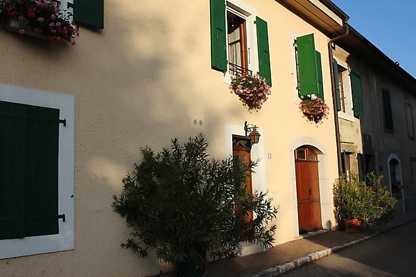 포토 JPG 해외이미지 구름 백그라운드 미래 주택 세포 풍경 사람없음 초록색 물 태양 환경 재활용 에너지 보호 스위스 반도체 전자 실리콘 현재 비용 해외202004 해외포토 자연요소 유럽 컬러 컨셉 건물 경제 친환경 파일형식 이미지허브