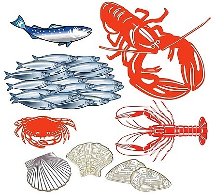 EPS 해외이미지 호수 음식 바다 일러스트 재료 낚시 조개 새우 갑각류 어류 요리 게 껍질 시장 맛 바닷가재 먹기 해산물 준비 홍합 연어 가리비 고등어 수류탄 고립 깊이 마케팅 입가심 해외202004 해외일러스트 동물 무기 컨셉 모션 레저 어패류 수중동물 가재 파일형식 벡터 이미지허브