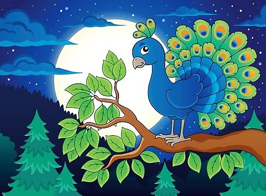 EPS 해외이미지 나무 동물 구름 응시 별 잎 일러스트 자연 조류 하늘 미술 빛 달 나뭇가지 그리기 공작 야간 숲 깃털 그림 꼬리 동물상 해외202004 해외일러스트 자연요소 식물 시선 모션 문화예술 조형물 생태계 파일형식 벡터 이미지허브