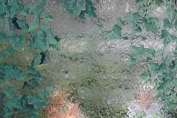 포토 JPG 해외이미지 꽃 선 벽 여행 포즈 백그라운드 컨셉 잎 모션 자연 표면 추상 미술 사람 사람없음 세로 물 파란색 빛 우주 폭포 젖음 흐름 흰색 물방울 도시 액체 개울 떨어짐 빨래 묘사 분수 질감 역동적 층 깊이 샤워실 철강 터키석 효과 해외202004 해외포토 자연요소 식물 컬러 가사 무늬 문화예술 강 보석 생태계 샤워시설 파일형식 이미지허브