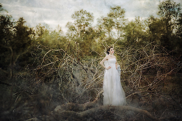 포토 JPG 해외이미지 나무 드레스 공원 여자 결혼 잎 겨울 오렌지 신혼부부 태국 결혼식 휴가 함께함 한명 사람 청춘 컬러풀 금발 노란색 유행 산책 젖음 추위 안개 가을 흰색 축하 우아함 떨어짐 숲 시원함 11월 약혼 공평 해외202004 해외포토 식물 1 헤어스타일 부부 옷 계절 공공시설 아시아 컬러 컨셉 과일 날씨 휴식 이벤트 날짜 약속 신혼 파일형식 이미지허브