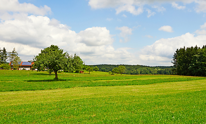 포토 JPG 해외이미지 나무 식물 구름 계절 꽃잎 유럽 잎 밭 농업 자연 하늘 주택 세포 독일 풍경 잔디 사람없음 야외 초록색 여름 파란색 울타리 태양 농장 농경지 정원 수확 성장 시골 신선 판넬 사과 숲 과수원 땅 언덕 내추럴 밭일 바이에른 세련 해외202004 해외포토 자연요소 꽃 나라 산업 컬러 과일 건물 담장 생태계 파일형식 이미지허브