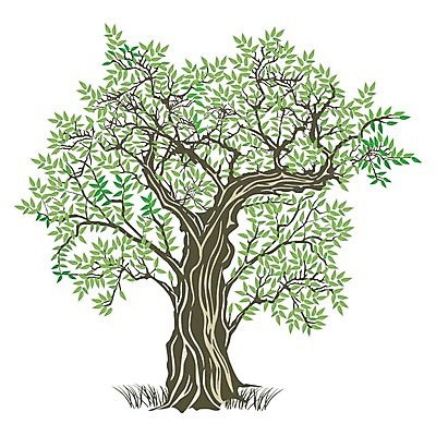 EPS 해외이미지 나무 식물 음식 백그라운드 잎 농업 채소 일러스트 재료 건강 요리 초록색 라벨 이탈리아 샐러드 나뭇가지 스페인 지중해 먹기 그리스 에코 유기농 올리브 온실 채식주의자 토스카나 해외202004 해외일러스트 웰빙 열매 유럽 산업 바다 컬러 모션 프레임 환경 채식 파일형식 벡터 이미지허브