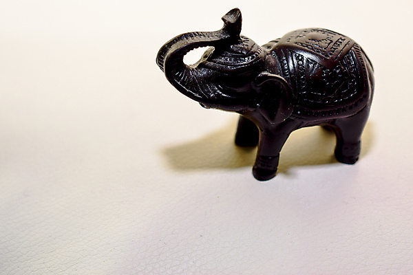 포토 JPG 해외이미지 동물 아시아 조각 포유류 자연 코끼리 선물 미술 사람없음 내부 목재 장식 장난감 조각상 갈색 검은색 놀람 미니어처 피규어 골동품 흰색 오브젝트 황소 기념품 코뿔소 고립 해외202004 해외포토 나무 감정 나라 컬러 재료 문화예술 표정 조형물 모형 소 생태계 파일형식 이미지허브