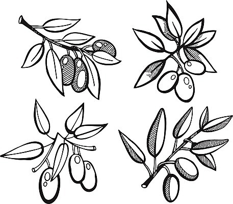 EPS 해외이미지 나무 식물 전통 디자인 계절 음식 백그라운드 잎 꽃무늬 패턴 다이어트 채소 과일 일러스트 포장 자연 건강 요리 미술 그래픽 여름 세트 라벨 식당 검은색 이탈리아 샐러드 수확 나뭇가지 신선 스페인 지중해 그리스 유기농 올리브 복고 생물학 내추럴 고립 엘리먼트 채식주의자 토스카나 해외202004 해외일러스트 웰빙 교육 열매 꽃 유럽 바다 컬러 무늬 농업 문화예술 프레임 상점 생태계 채식 파일형식 벡터 이미지허브