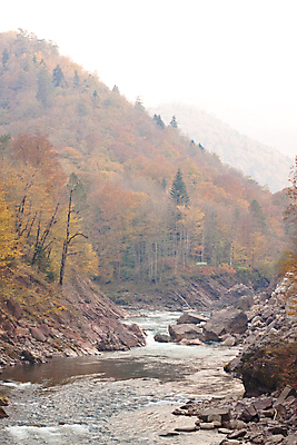 포토 JPG 해외이미지 나무 유럽 백그라운드 자연 풍경 사람없음 야외 세로 초록색 물 강 노란색 골짜기 회색 자유 안개 가을 바위 시골 오픈 개울 숲 산등성이 장면 흐림 해외202004 해외포토 자연요소 식물 계절 나라 컬러 컨셉 날씨 산 돌_바위 생태계 파일형식 이미지허브