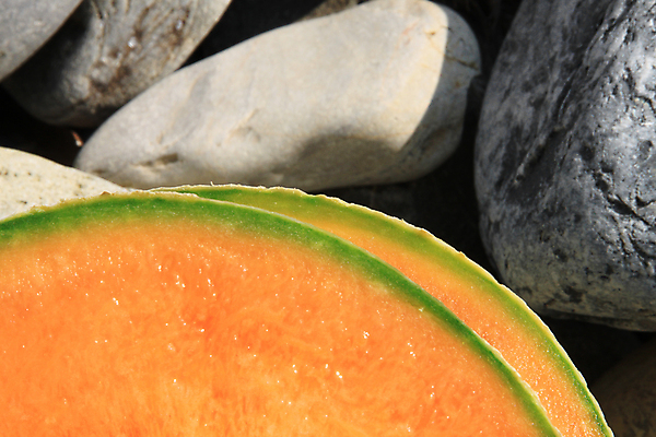 포토 JPG 해외이미지 오렌지 과일 씨앗 사람없음 초록색 껍질 멜론 해외202004 해외포토 식물 컬러 파일형식 이미지허브