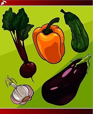 EPS 해외이미지 디자인 음식 잎 다이어트 채소 과일 일러스트 가지 오이 건강 마늘 그래픽 초록색 세트 노란색 보라색 신선 그룹 만화 오브젝트 그림 뿌리 후추 비트 채식주의자 해외202004 해외일러스트 식물 컬러 향신료 채식 파일형식 벡터 이미지허브