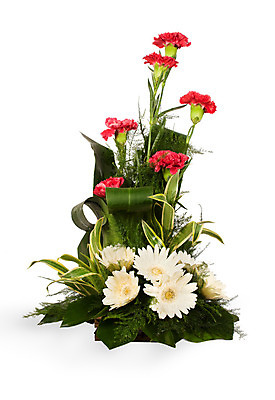 포토 JPG 해외이미지 식물 기념일 꽃잎 꽃 분홍색 꽃다발 백그라운드 자연 선물 사랑 사람없음 장식 빨간색 세로 초록색 장미 바구니 보라색 봄 벚꽃 흰색 축하 인사 신선 우아함 다발 배열 데이지 그리너리 해외202004 해외포토 계절 감정 컬러 컨셉 이벤트 예절 생태계 파일형식 트랜드컬러 이미지허브