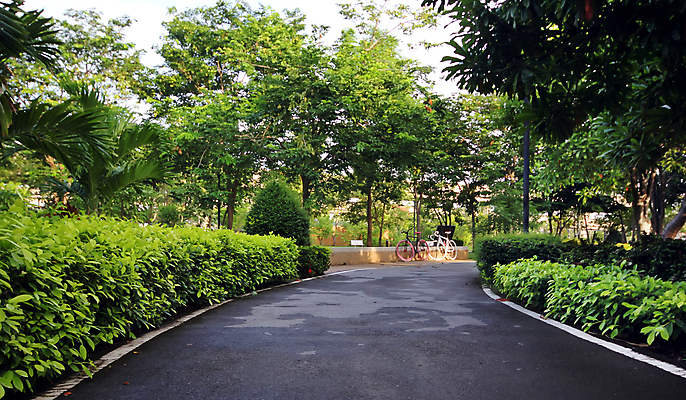 포토 JPG 해외이미지 나무 계절 공원 꽃 길 벤치 자연 풍경 잔디 사람없음 야외 목재 초록색 여름 평화 정원 맑음 자전거 봄 산책 장면 타운 해외202004 해외포토 식물 공공시설 컬러 컨셉 의자 재료 날씨 휴식 바이크 도시 생태계 파일형식 이미지허브