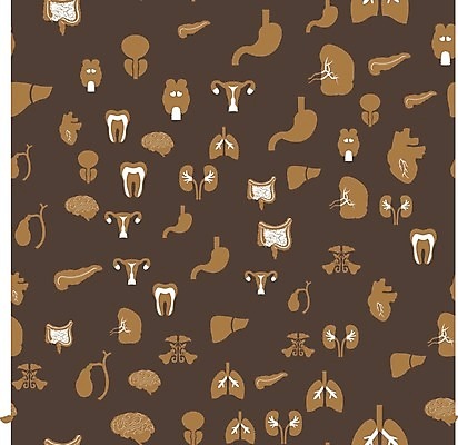 EPS 해외이미지 디자인 교육 실루엣 과학 백그라운드 패턴 일러스트 해부 건강 가면 사람 그래픽 약 흐름 인공위성 하트 열 발표 오르간 신장 허파 치아 호흡 질병 뇌 예방 생물학 간 감염 자궁 암 알레르기 췌장 궤 돌봄 심각 엘리먼트 인플루엔자 주목 지라 천식 해로움 해외202004 해외일러스트 모양 컨셉 무늬 통신 의학 모션 촬영기법 소화기관 장기_의학 건반악기 비뇨기관 호흡기관 바이러스 파일형식 벡터 이미지허브