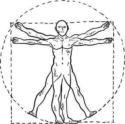 EPS 해외이미지 일러스트 부분 해부 근육 골격 사람 원형 낙서 스케치 그림 서식 정사각형 비율 고립 르네상스 완전 해외202004 해외일러스트 도형 컨셉 의학 미술 파일형식 벡터 이미지허브
