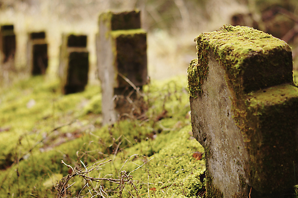 포토 JPG 해외이미지 나무 식물 전통 유럽 종교 문화 텍스트 아이디어 독일 풍경 사람없음 야외 목재 초록색 평화 희망 침묵 회색 가을 바위 죽음 무덤 기록 역사 숲 편지 심볼 묘사 사인 그림 장면 숭배 옛날 장례식 해외202004 해외포토 계절 감정 나라 컬러 컨셉 재료 소리 돌_바위 파일형식 이미지허브