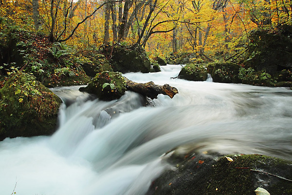 포토 JPG 해외이미지 나무 계절 공원 단풍 잎 오렌지 자연 이끼 풍경 사람없음 야외 컬러풀 일본 폭포 가을 바위 개울 강가 즐거움 해외202004 해외포토 식물 공공시설 감정 아시아 컬러 과일 강 돌_바위 생태계 파일형식 이미지허브
