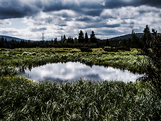 포토 JPG 해외이미지 식물 공원 여행 밭 자연 하늘 낚시 산 풍경 사람없음 야외 초록색 물 여름 파란색 강 달리기 반사 마을 환경 봄 거울 흐름 개울 숲 큼 수로 체코 북쪽 석호 폴란드 내추럴 공화국 굴곡 지그재그 가문비나무 해외202004 해외포토 자연요소 나무 계절 공공시설 유럽 나라 컬러 컨셉 농업 모션 레저 크기 방향 생태계 파일형식 이미지허브