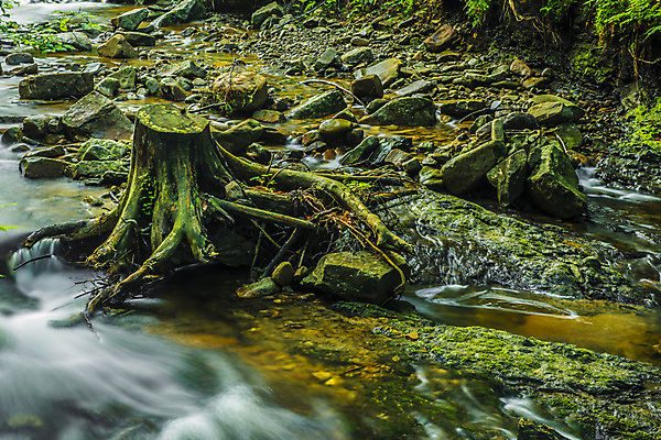포토 JPG 해외이미지 나무 식물 계절 공원 유럽 여행 백그라운드 잎 모션 자연 산 이끼 풍경 사람없음 야외 목재 초록색 물 여름 강 평화 환경 봄 젖음 흐름 바위 흰색 신선 개울 숲 자르기 폴란드 내추럴 전국 해외202004 해외포토 자연요소 공공시설 나라 컬러 컨셉 재료 돌_바위 생태계 파일형식 이미지허브