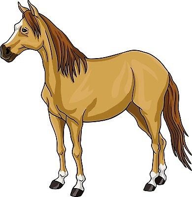 EPS 해외이미지 동물 야생동물 스포츠 밭 일러스트 포유류 자연 야외 초록색 농장 갈색 머리 가축 목장 흰색 시골 승마 승차 큼 꼬리 갈기 조랑말 안장 무료 해외202004 해외일러스트 컬러 농업 모션 신체부위 말_동물 크기 생태계 파일형식 벡터 이미지허브