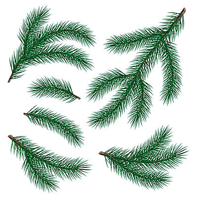 EPS 해외이미지 나무 식물 전통 디자인 계절 실루엣 백그라운드 잎 크리스마스 겨울 일러스트 자연 추상 휴가 새로움 미술 그래픽 장식 초록색 세트 검은색 흰색 나뭇가지 축하 소나무 화려 숲 수집 연도 오브젝트 싱글 그림 심플 상록수 침엽수 전나무 고립 그런지 엘리먼트 가문비나무 해외202004 해외일러스트 기념일 컬러 컨셉 무늬 문화예술 촬영기법 생태계 파일형식 벡터 이미지허브