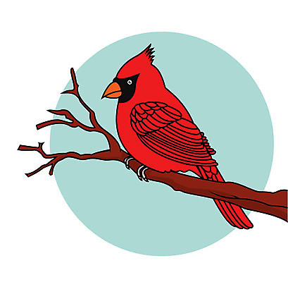 EPS 해외이미지 나무 동물 응시 남자 길 야생동물 겨울 날개 일러스트 자연 조류 생물 빨간색 세로 기댐 나뭇가지 자르기 깃털 오브젝트 생물학 꼬리 부리 새장 갈기 고립 이국적 해외202004 해외일러스트 식물 시선 계절 교육 컬러 모션 사람 생태계 케이지 파일형식 벡터 이미지허브