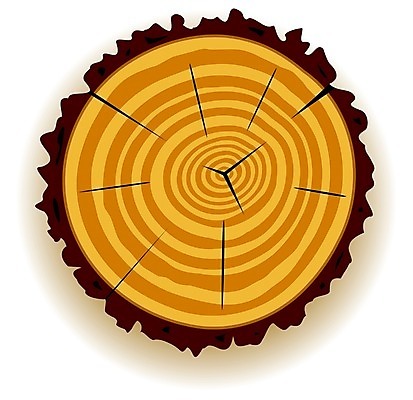 EPS 해외이미지 클립아트 나무 산업 조각 백그라운드 패턴 일러스트 부분 자연 건조 그림자 목재 갈색 노란색 회색 흰색 반지 시간 소나무 원형 거친 역사 균열 숲 자르기 오브젝트 질감 통나무 나무껍질 다리찢기 내추럴 방법 수목 옛날 노화 해외202004 해외일러스트 도형 식물 컬러 컨셉 무늬 재료 장신구 모션 껍질 생태계 파일형식 벡터 이미지허브