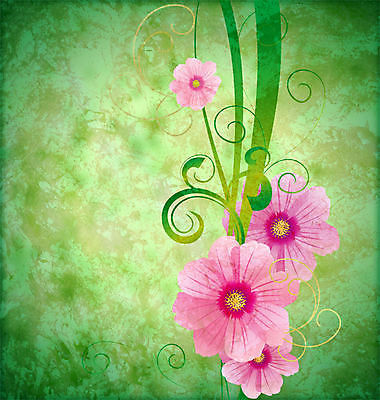 포토 JPG 해외이미지 식물 디자인 계절 꽃 종이 분홍색 꽃다발 결혼 백그라운드 잎 꽃무늬 패턴 일러스트 자연 벽지 추상 휴가 프레임 사랑 미술 사람없음 그래픽 장식 빨간색 여름 장미 우주 봄 수확 벚꽃 가을 흰색 신선 신용카드 거친 질감 복고 그런지 스크랩북 옛날 해외202004 해외포토 감정 컬러 무늬 농업 문화예술 이벤트 금융 생태계 파일형식 이미지허브