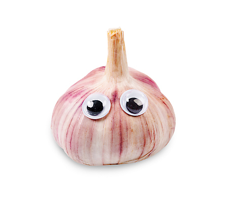 포토 JPG 해외이미지 클리핑패스 음식 조각 채소 재료 건강 마늘 사람없음 보라색 식사 흰색 신선 양념 조미료 맛 만화 먹기 허브 향신료 오브젝트 유기농 매움 날것 향기 뿌리 향 거짓 고립 숙성 해외202004 해외포토 식물 웰빙 컬러 컨셉 모션 냄새 향미료 파일형식 이미지허브