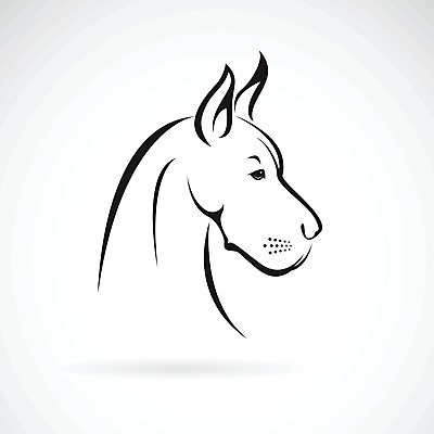 EPS 해외이미지 일러스트 사람없음 반려동물 검은색 흰색 개 강아지 그레이트덴 해외202004 해외일러스트 동물 컬러 포유류 파일형식 벡터 이미지허브