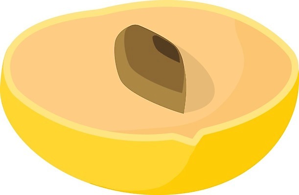 EPS 해외이미지 식물 공원 음식 밭 과일 일러스트 자연 건강 야외 목재 장식 노란색 흰색 신선 달콤 맛 농부 유기농 하와이 멀리 브라질 내추럴 생태학 숙성 이국적 채식주의자 브라질사람 해외202004 해외일러스트 나무 직업 웰빙 공공시설 교육 컬러 컨셉 농업 재료 미국 남아메리카 생태계 채식 파일형식 벡터 이미지허브