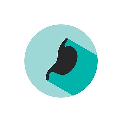 EPS 해외이미지 디자인 과학 백그라운드 신체 일러스트 해부 건강 병원 사람 내부 그래픽 약 오르간 질병 심볼 사인 생물학 시스템 고립 돌봄 스타일 해외202004 해외일러스트 교육 의학 모션 건반악기 파일형식 벡터 이미지허브