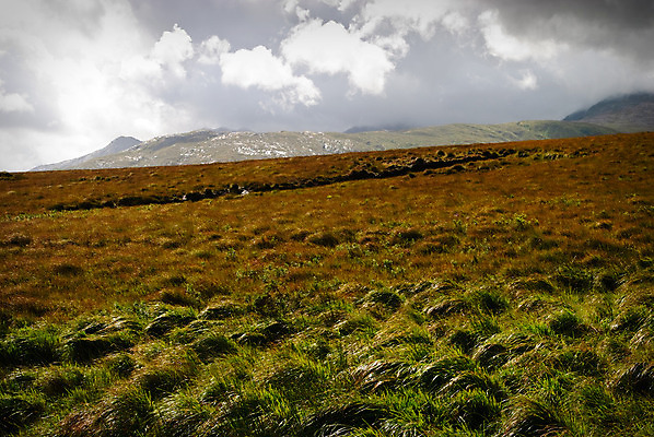 포토 JPG 해외이미지 자연 산 풍경 사람없음 초록색 아일랜드 해외202004 해외포토 유럽 컬러 생태계 파일형식 이미지허브