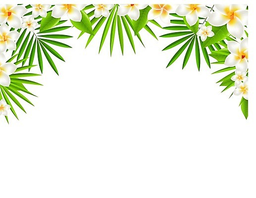 EPS 해외이미지 식물 디자인 꽃잎 꽃 선 꽃무늬 일러스트 자연 휴식 프레임 장식 여름 야자수 노란색 스파 벚꽃 흰색 신선 떨어짐 심볼 하와이 향기 냄새 아로마 발리 향 내추럴 샤워실 아열대 엘리먼트 이국적 하와이인 알로하 해외202004 해외일러스트 외국인 나무 계절 컬러 섬 컨셉 무늬 미국 인사 생태계 인도네시아 샤워시설 파일형식 벡터 이미지허브