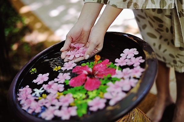 포토 JPG 해외이미지 손 꽃 들기 야외 신체부위 물 햇빛 스파 대야 해외포토 자연요소 식물 모션 사람 태양 파일형식 이미지허브