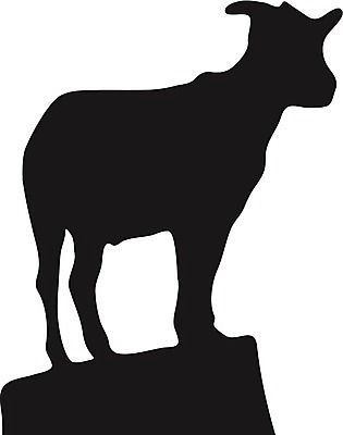 EPS 해외이미지 동물 응시 시선 일러스트 염소 뿔 서기 검은색 흰색 소 언덕 혼자 해외202004 해외일러스트 컬러 포유류 모션 파일형식 벡터 이미지허브